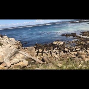 Meet your Posher, Leah